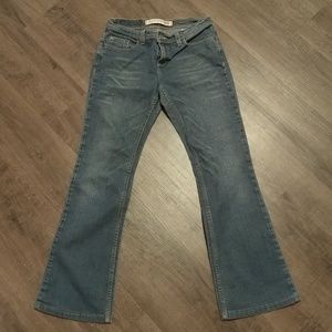 Express  Flare Jeans